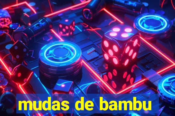 mudas de bambu